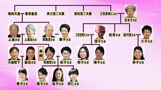 新たな皇室、どうつくる？ 22日に即位の礼 - 日本経済新聞