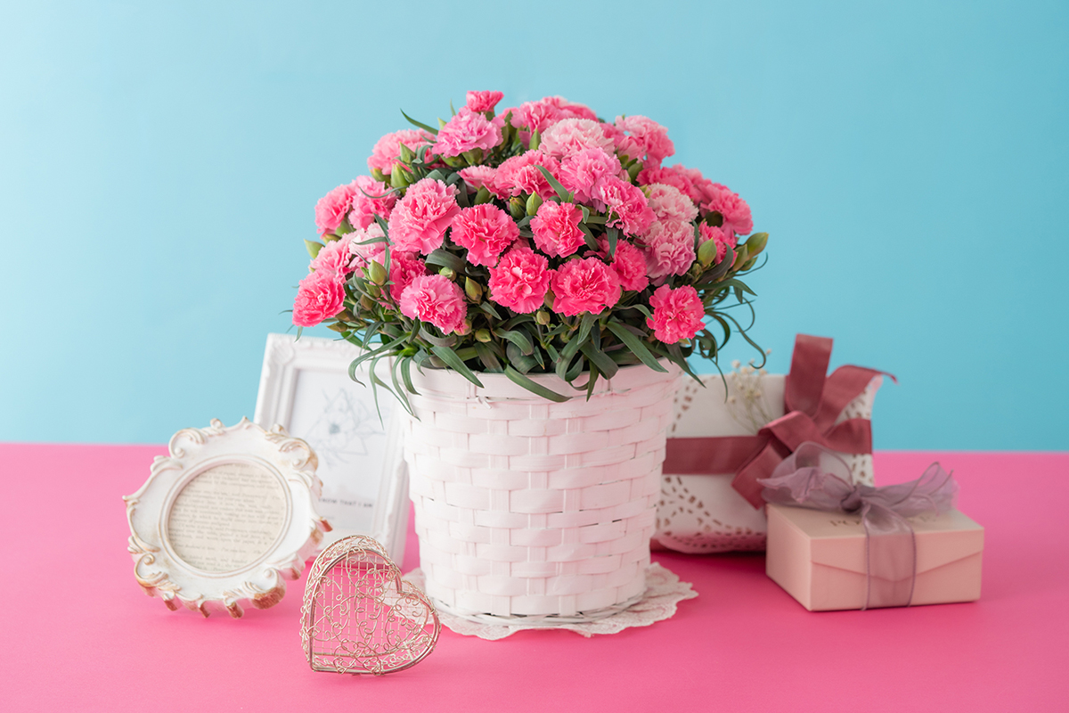 2024年 母の日と父の日の合同プレゼントはいつ贈る？食べ物ギフトのおすすめ18選HANKYU FOODおいしい読み物フード 食品・スイーツ 阪急百貨店公式通販 HANKYU FOOD