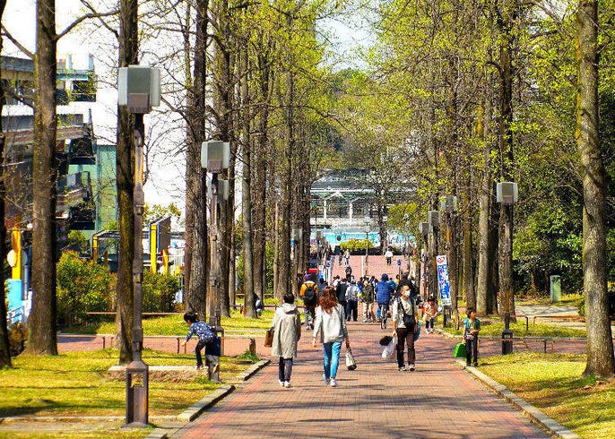 1-2.きれい好き、潔癖、強迫症の違い - OCDサポート