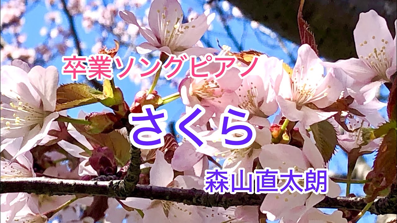 卒業式・送別会におすすめの歌 定番JPOPから隠れた名曲まで- 空から降りて