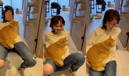 飼い主のことが大好きすぎる猫のラブラブなモーニングルーティン