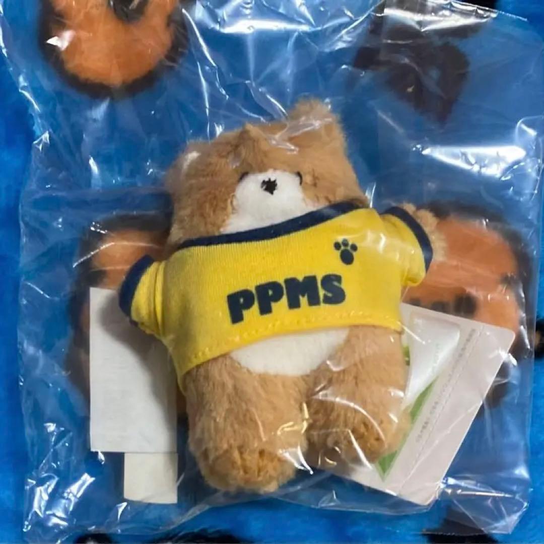 パパムス」最終話“小梅”飯沼愛の恋の結末が「激甘でかわいかった」 “健太先輩”長尾謙杜の「キス顔がきれい過ぎた」「告白がカッコ良かった」Daily NewsBillboard JAPAN