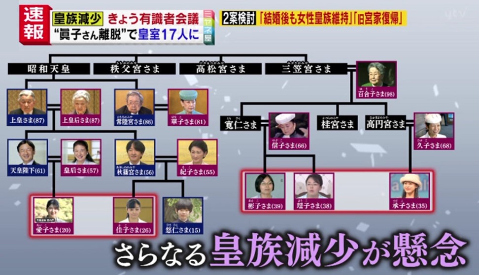 皇室100年安泰家系図 ハガキ用データ