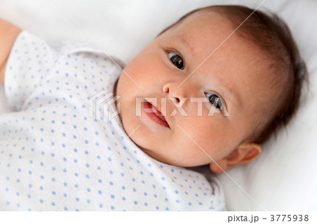 キタキツネの可愛らしい子供 写真素材5218504- フォトライブラリー photolibrary