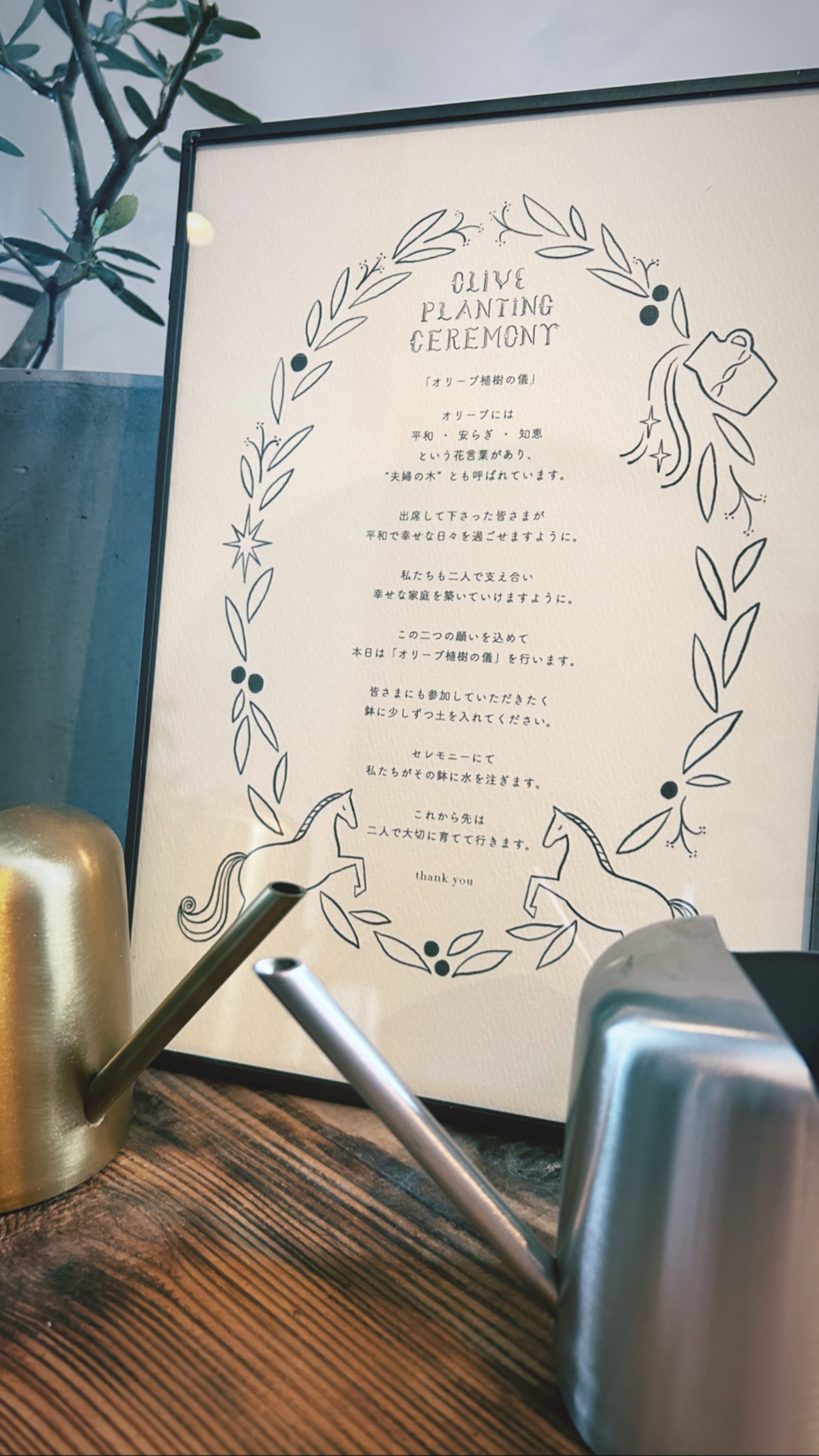 オリーブの木 オリーブ ６号鉢 オリーブ農園 鶴亀園さんの香川オリーブ 観葉植物 鉢植え 引越し祝い 新築祝い おしゃれ 友人 誕生日 プレゼント男性 女性 お祝い 結婚祝い 結婚記念日 開店祝い 開業 周年祝い お誕生日 ギフト 敬老の日 オリーブの木専門店 鶴亀園