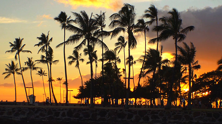 吉野茜の結婚披露宴に美女プロ勢揃い！和装の藤田光里プロも笑顔で参加Golf Mゴルフエム