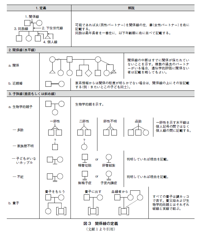 家族 家系図」のイラスト素材・ベクター画像 - イメージマートimagemart