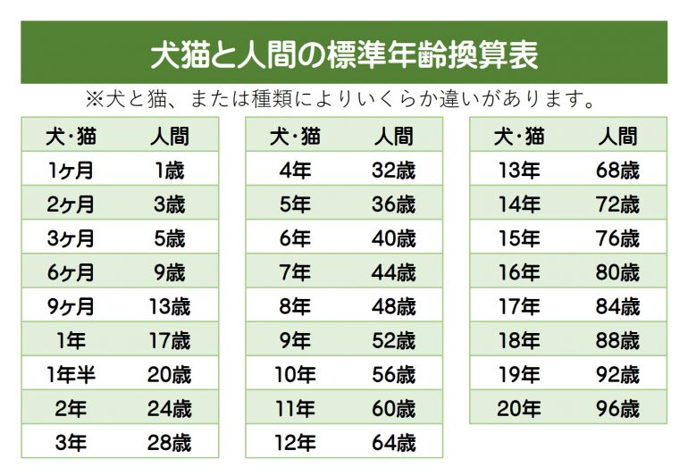 愛⽝の年齢は⼈間に換算すると何歳？⽝と⼈間の年齢換算表ウェブマガジン ペットと、ずっと。ユニ・チャーム ペット-ユニ・チャーム