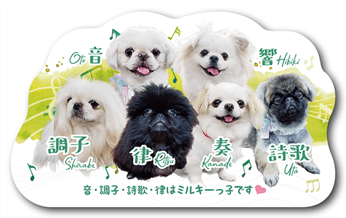 両面100枚 3匹用多頭飼い 犬名刺 猫名刺 ペット名刺 うちの子名刺 カード オーダーメイド オリジナル 親バカグッズ うちの子グッズ 犬用猫用 ペット用opg1