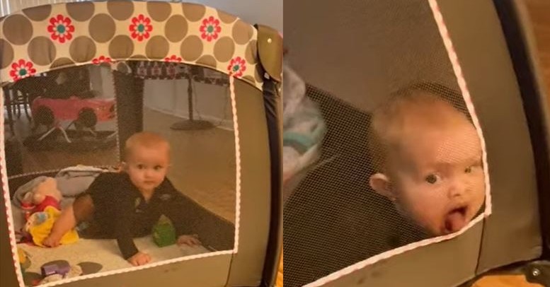 顔をしかめる赤ちゃんの写真・画像素材-Snapmart スナップマート