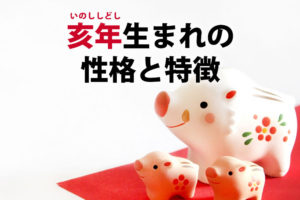 生肖猪的属相性格特点及优缺点分析大全_事情_属猪_理想