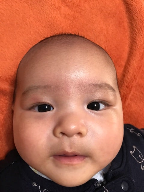 無料画像 : 大人, 魅力的な, 赤ちゃん, バックグラウンド, 綺麗な, 美しさ, 青, 男の子, お手入れ, コーカサス人, 陽気な, 子供時代,閉じる, 服, 可愛い, 家族, ファッショナブルな, 女性, 緑, ハッピー, 健康, ホールディング, 幼児, キッド, キッス, ライフスタイル