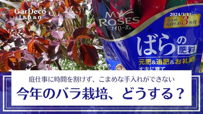 庭の手入れ業者・造園業者 料金・口コミで比較- ミツモア