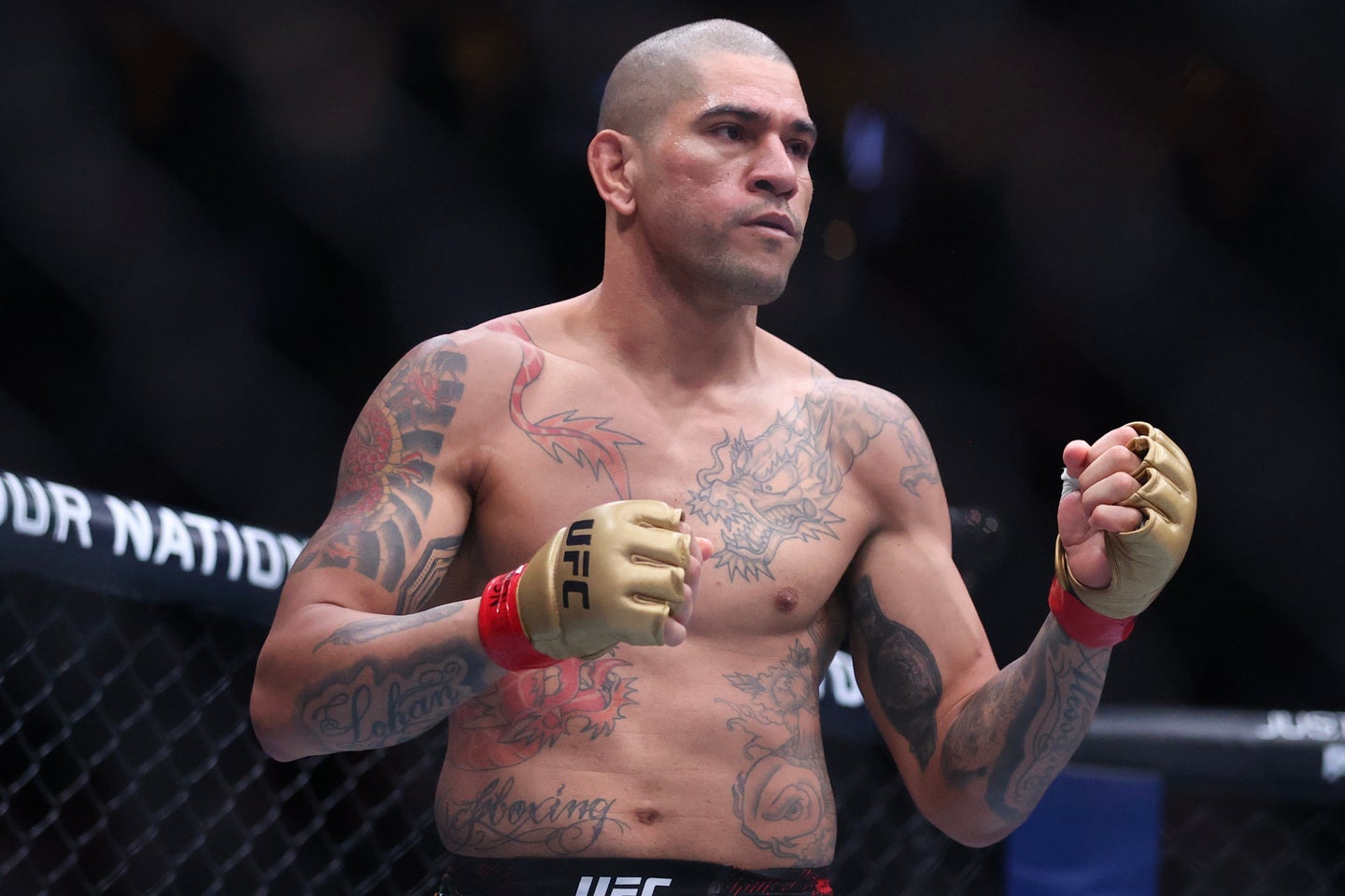 EA SPORTS UFC 5_金太郎vs.厨二病の息子 Kintaro vs. Edgelord - YouTube