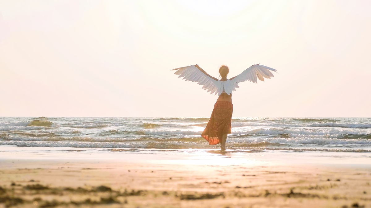 飛行機は、なぜ空を飛べるの？身近なふしぎ科学なぜなぜ110番科学キッズネット