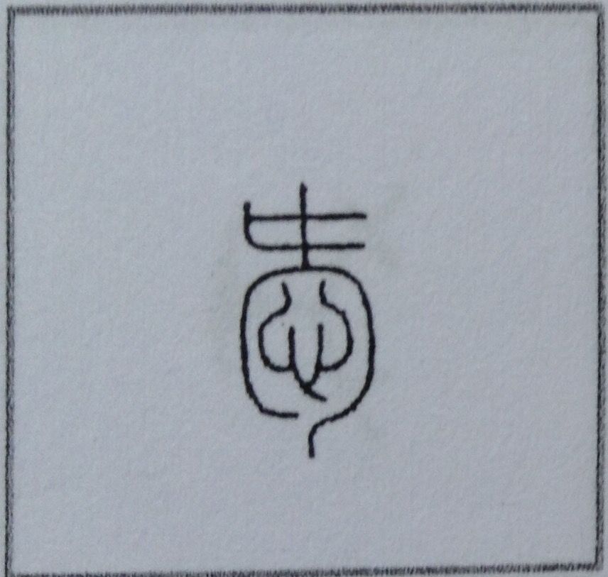 写真はアガパンサス 花言葉は「恋の訪れ」や「誠実な愛」など、 愛や恋にまつわるものが多い。 これは、ギリシャ語で「愛の花」を意味 するその名前に由来しています。知的な装いや優しい気持ちといった花言葉もあり、多様な愛の形を象徴しています