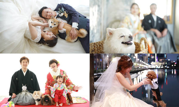 2月22日は「猫の日」愛猫と一緒に撮るフォトウェディングをご紹介ブラプラヒトとは違う結婚式・フォトウェディングを