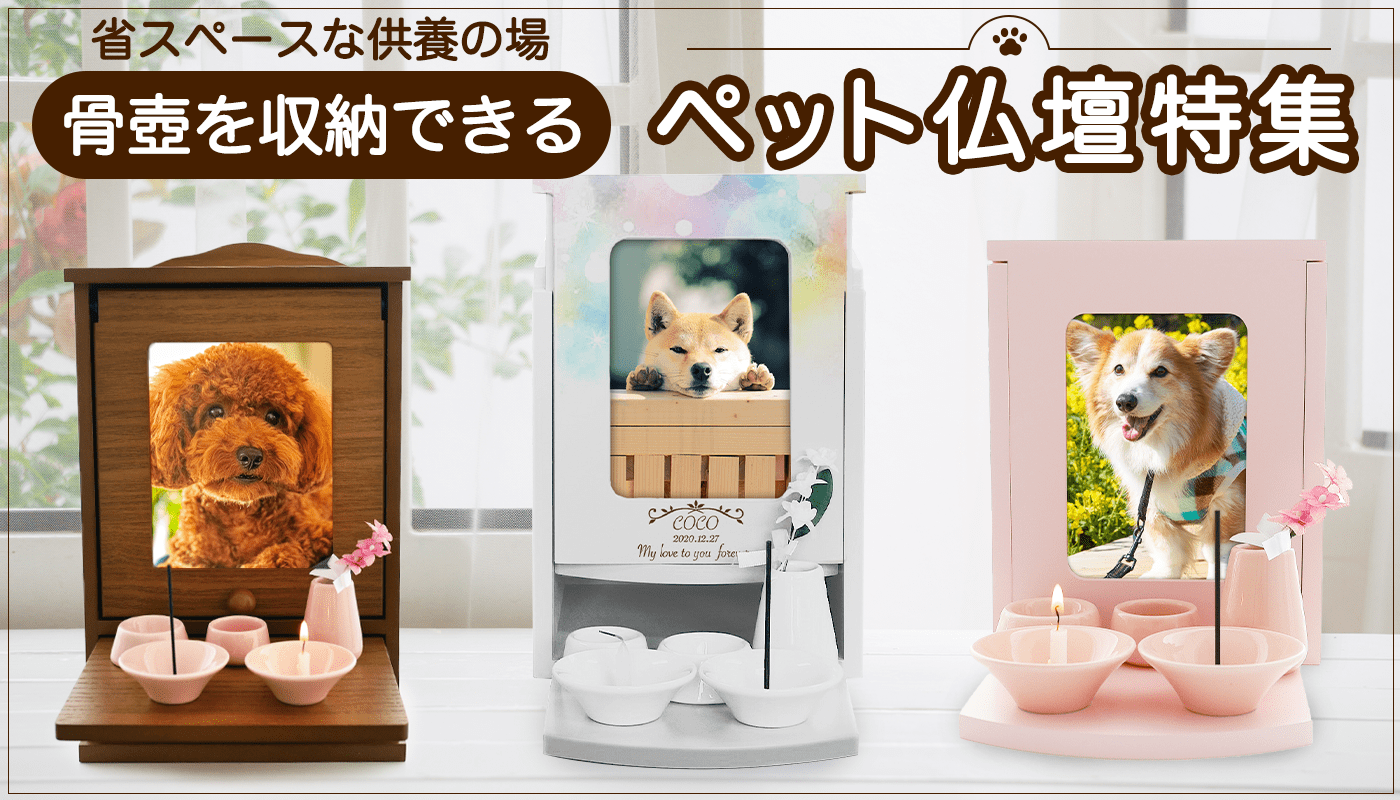 ペットのお悔やみにかける言葉、心に響くメール例文、贈る花、マナーとペットロスケアについて – Pet Momento