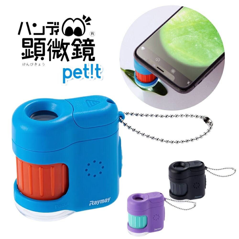 生き物が好きすぎる小学生男子 – チーコブログ