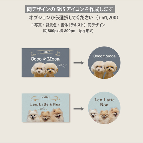 konoirokonoha さまの、マルクちゃん・ポカリちゃんの両面ペット名刺を作成しました。 サンプルを元に情報を整理して作成。ご注文・掲載許可ありがとうございました！ペット名刺もふり堂うちの子名刺犬わんこ犬のいる暮らしいぬのいる生活わんこのいる