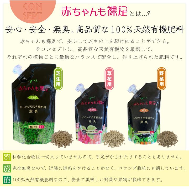 緑の芝生の上に裸足で立っている赤ちゃん。健康な子供。の写真素材・画像素材 Image 182823518