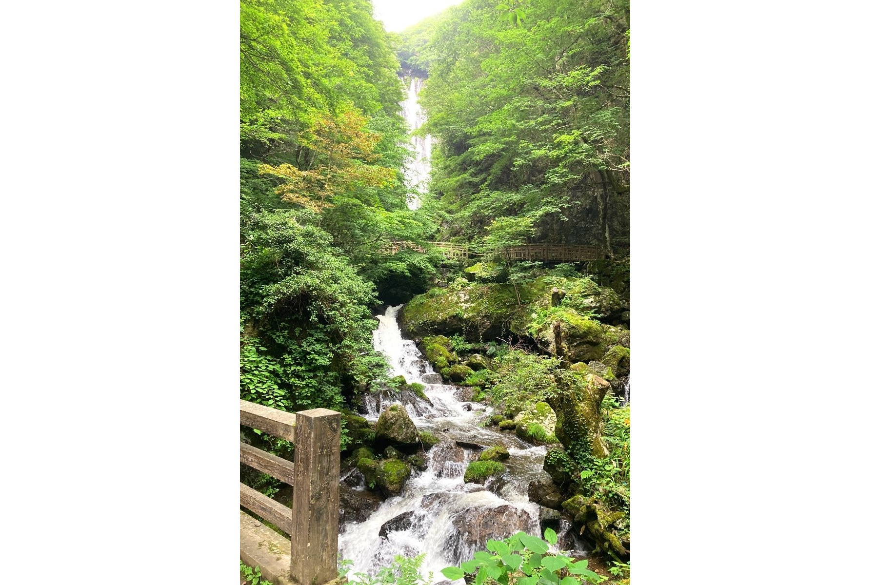海・山・ひまわり 夏の気分を高める、家族で行きたい岡山の絶景スポット8選おか旅岡山観光WEB 公式 - 岡山県の観光・旅行情報ならココ