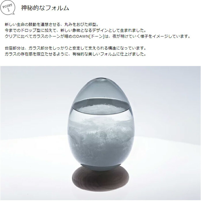 お友達トレーニングマンチカンちゃんとプードルちゃんのご挨拶！マルワンBLOGペットショップ マルワン 小さめ子犬 美形な子猫初心者安心のサポート