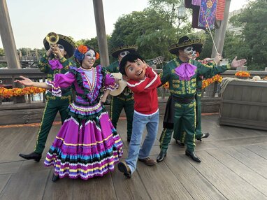 リメンバーミー」のアイデア 10 件リメンバーミー, メキシコ, パペルピカド