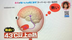 🐲BARUGA🔥雷藏ダブるえいト🐉 on X: 