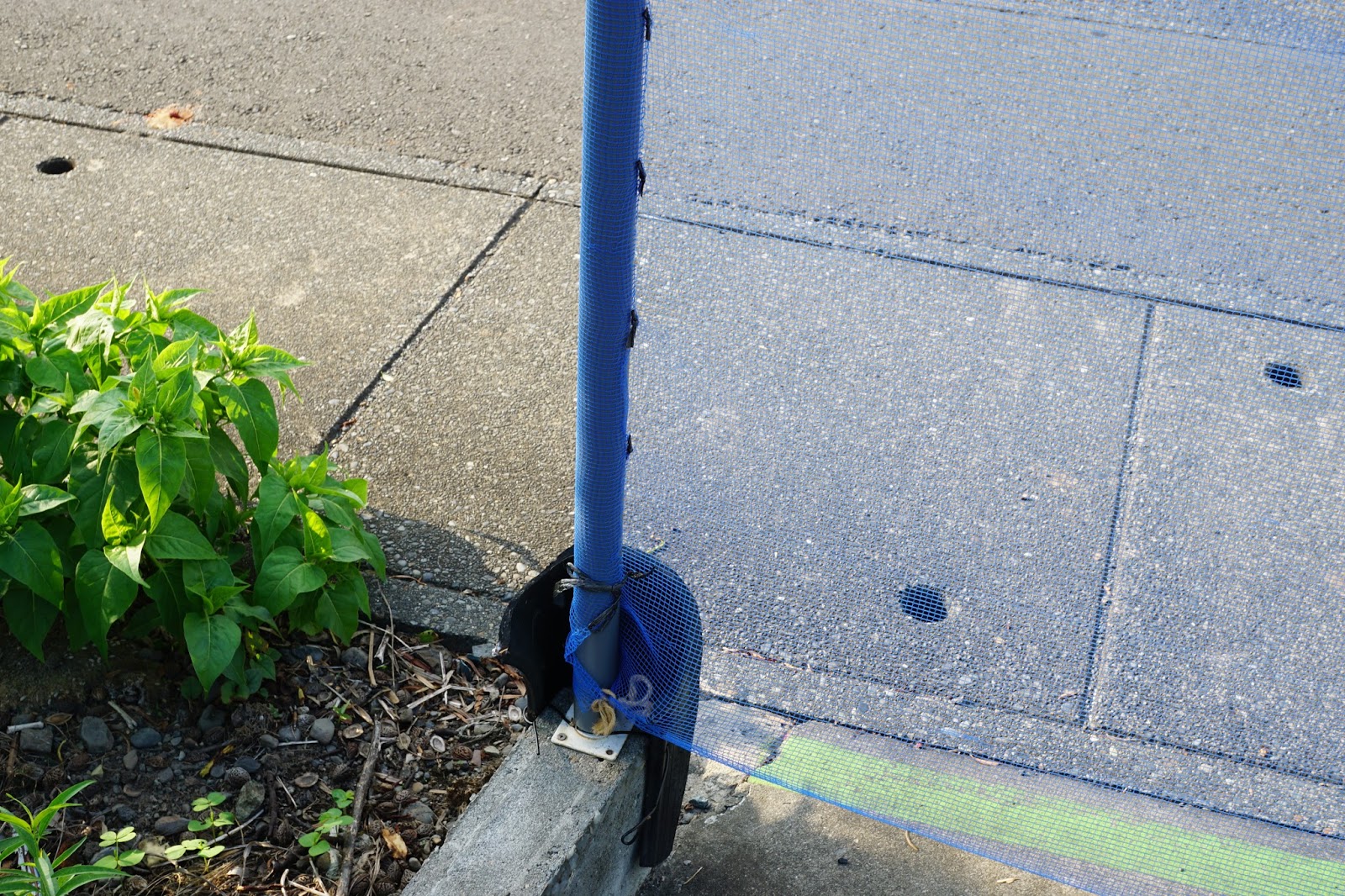 セコムどうしたら防げる？子どもの飛び出し事故子どもの安全ブログ