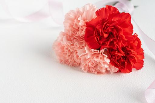 母の日カーネーションセット ｖ10 イラスト - No: 1072333無料イラスト・フリー素材なら「イラストAC」