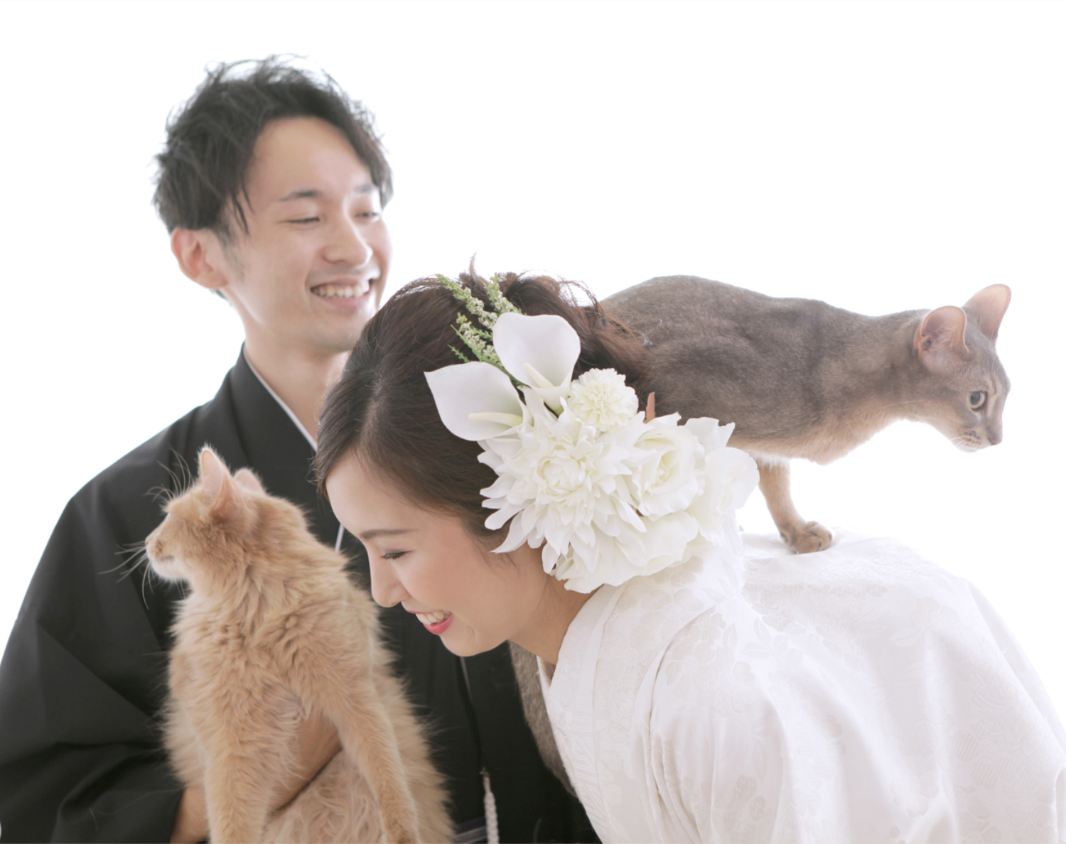 ワンタッチコーデ ウエディング気分 ウエディングドレス31550ゴロにゃんオリジナル 猫服 ウェディング ねこ ネコ 花嫁 結婚式ジューンブライドウエディング気分- 猫専門店ゴロにゃん☆公式通販サイト猫の首輪・猫用品・フード