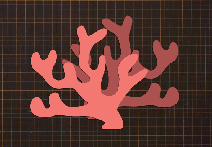 夏 海の生き物 画用紙 壁面飾り 幼稚園 保育園 その他素材 ゆきんこ 通販 19261016Creema クリーマ