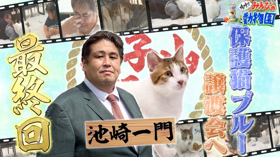 二子山親方 息子 中学TikTok