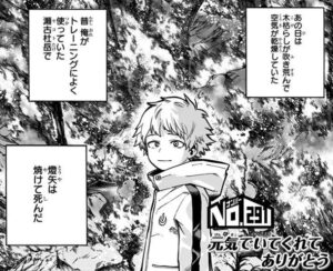 その身を焦がす、兄弟の戦い「ヒロアカ」轟焦凍VS荼毘を捉えたビジュアル - コミックナタリ