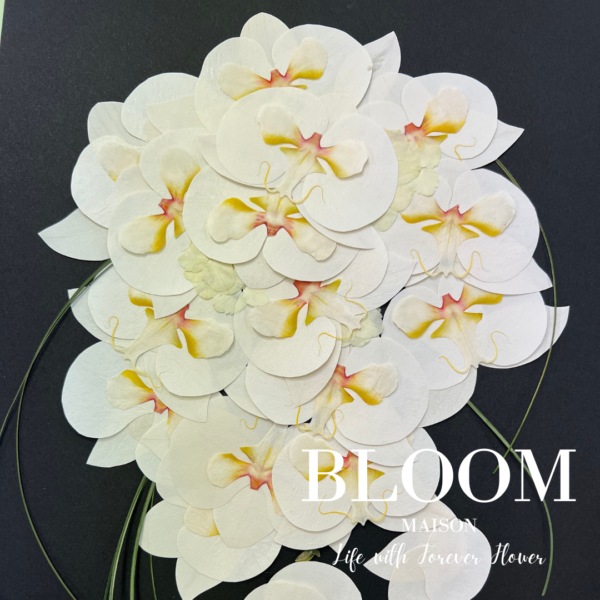 イキシアの花言葉名前の由来花言葉・誕生花HanaPrime ハナプライム