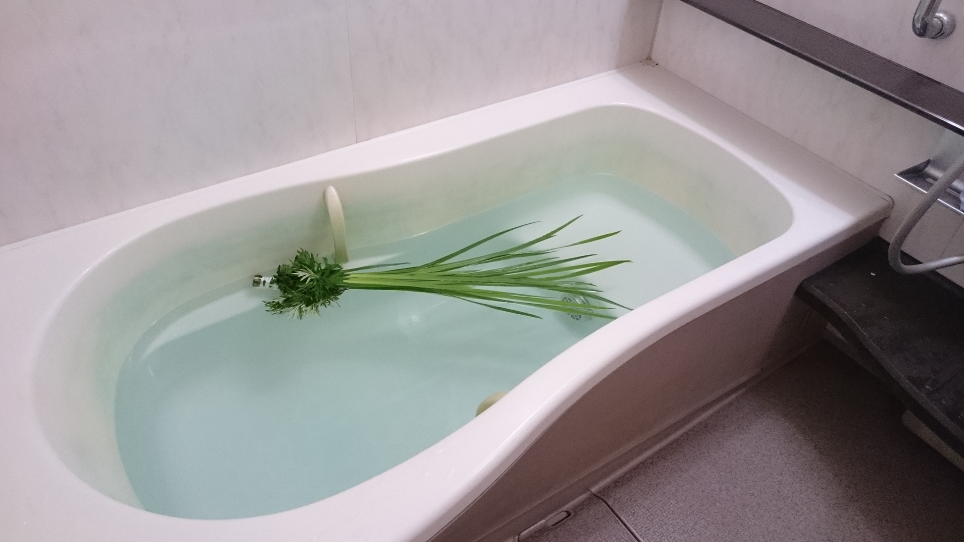 ✎ 初節句当日は実家で菖蒲湯に入ったあおちゃん👶🏻 頭に巻くと頭が良くなる らしい、しらんけど笑 から 巻いといた。笑GWでそれぞれの実家、祖父母宅へ いっぱいお祝いしてもらいました🎏 健やかに成長しますよーに。 そしてこれからの人生が幸せでありますよーに