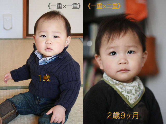 赤ちゃんの目が一重から二重に！？島本町不動産のことなら松下建設