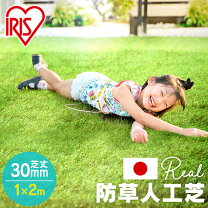 みんなで夏を楽しみに芝生の赤ちゃん を植えましたお知らせおれんじゆめ保育園 朝霞市の保育園