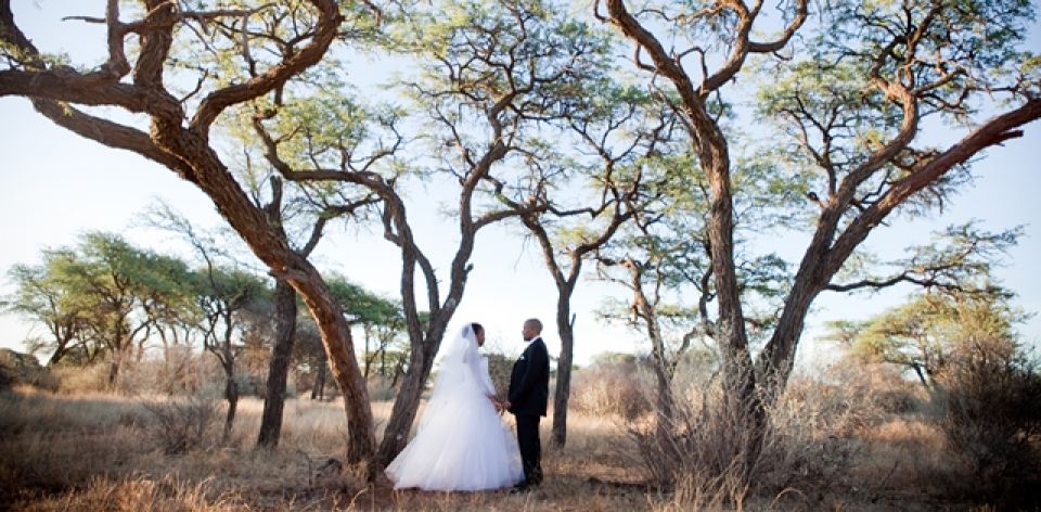 イモワーズ 婚約 とエバ 結婚 の間 カメルーンアフリック・アフリカ