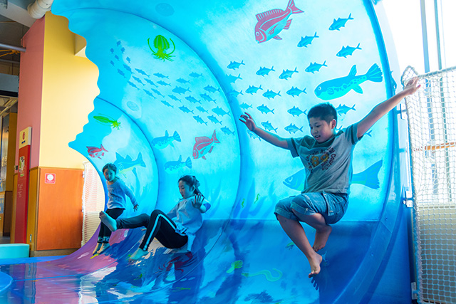 運動遊びも知育遊びもこれ1つでOK！おうち遊びで今話題の知育遊具「知育アスレチックプレミアム」SNSモニターモデル募集中！！ピープル株式会社のプレスリリース