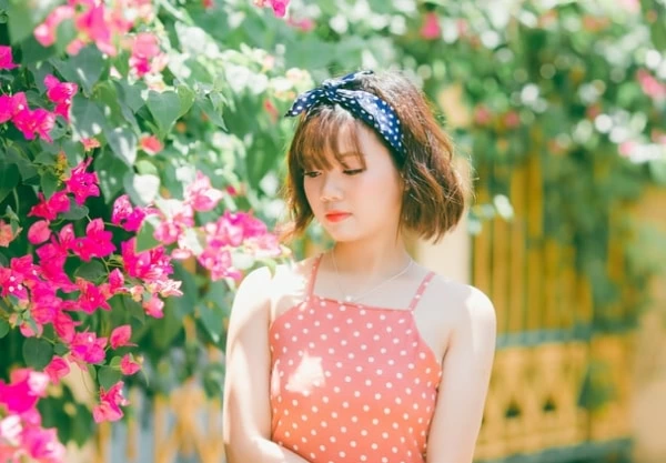 七田式フラッシュカードシリーズ ラインナップ七田式公式通販