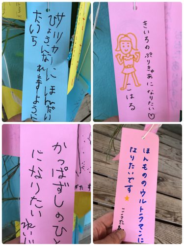 福島大学人間発達文化学類 東日本大震災教育支援プロジェクト