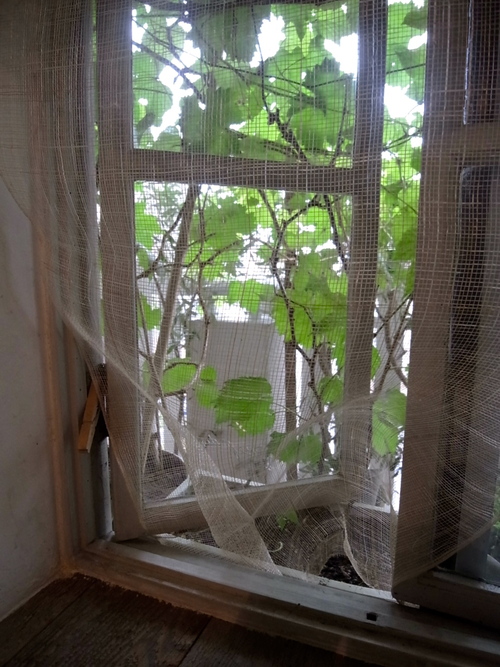 青柳啓子さんと楽しむハーブティーと手作りやパリのお話を聞いて来ました: 週末雑貨屋のカウンターから