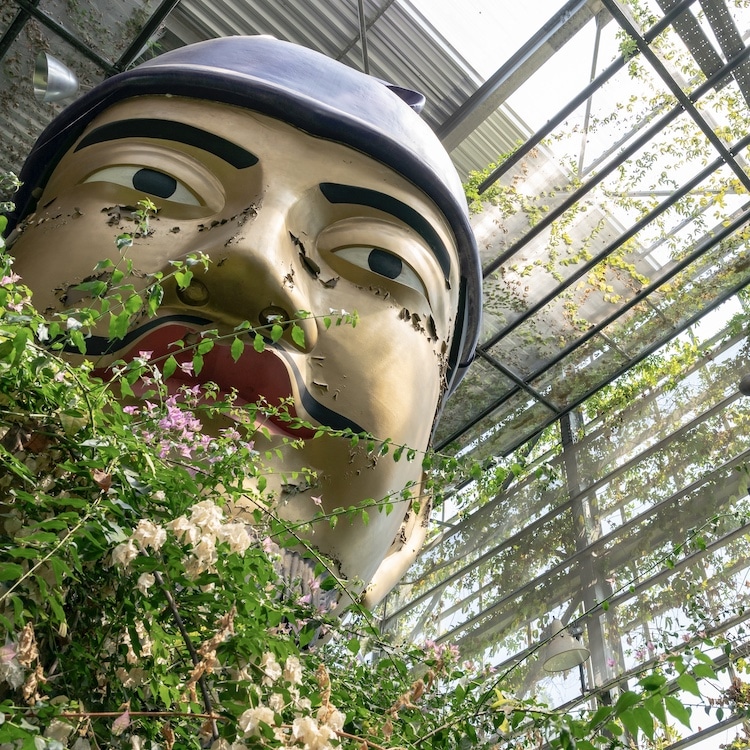 ナイトミュージアム～まぼろし博覧会～: たこのあゆみ