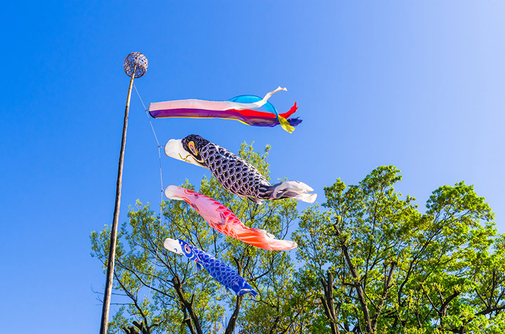 息子への五月人形・鯉のぼりは誰が買うのがよい？吉徳 公式オンラインショップ