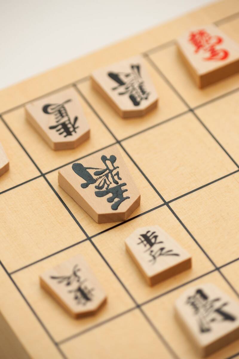 大志 藤井聡太のいる時代 成長編：８ 将棋盤を覆って号泣、母がひっぺがした：朝日新聞