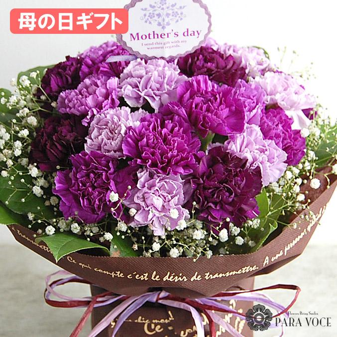 おしゃれな母の日鉢植えギフト2025 カーネーション パープル 母の日限定 人気のカーネーション – &YOUKAENアンドユーカエン