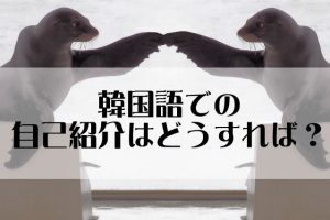 現地の表現 韓国語で自己紹介してみよう!韓国情報bibim'