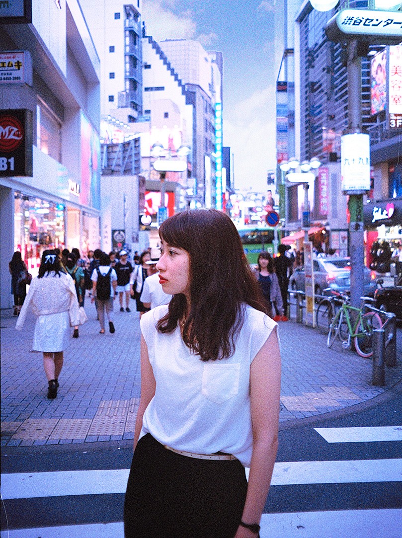 図録▽日本人の好きな自然ランキング